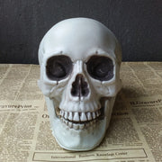 Halloween Decoration Artificial Skull