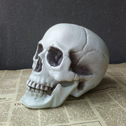 Halloween Decoration Artificial Skull